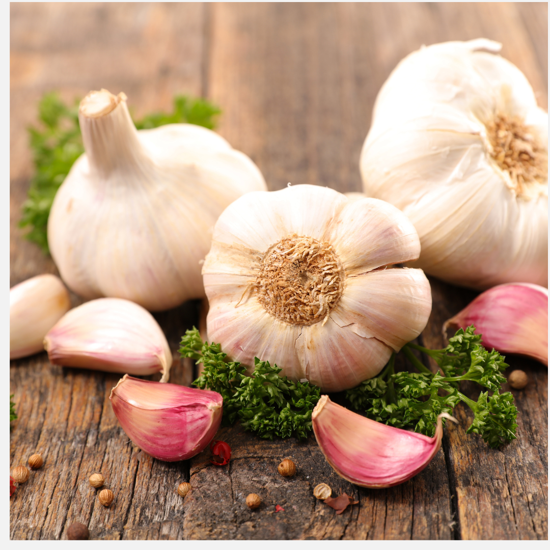 Foods That Improve Gut Health -Garlic