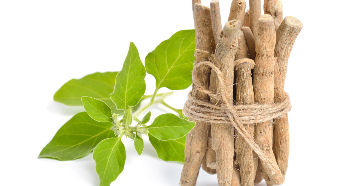 ayurvedic herbs ashwagandha