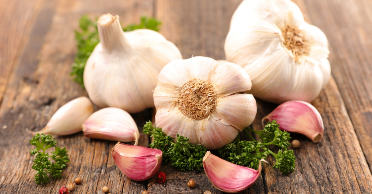 ayurvedic herbs garlic