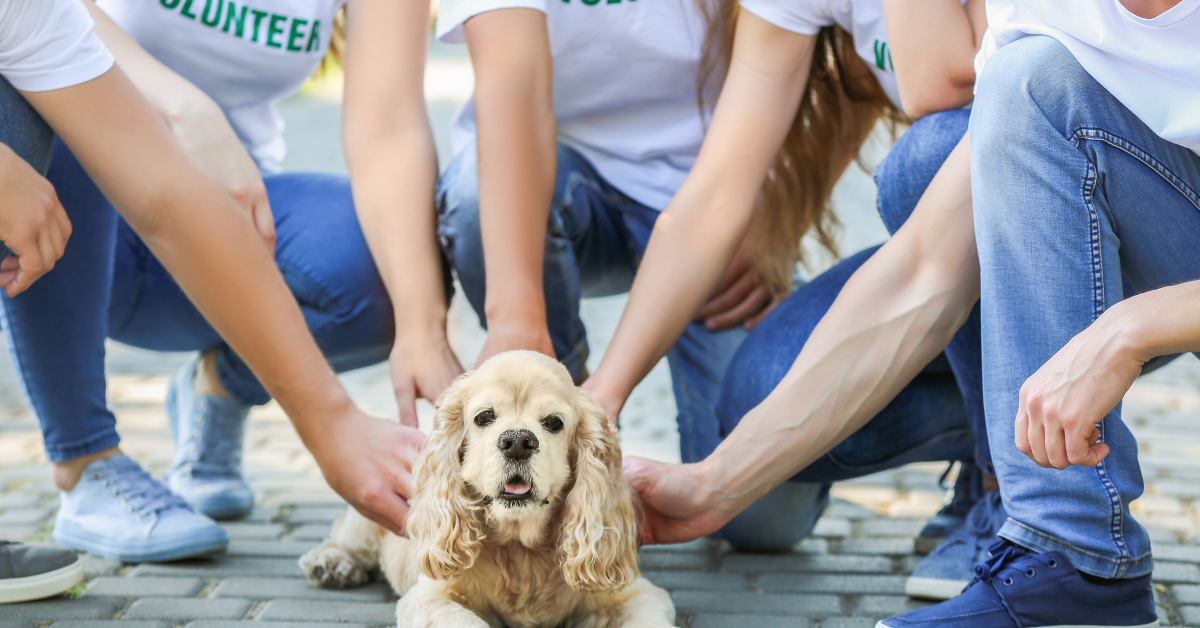 friendship day celebration ideas