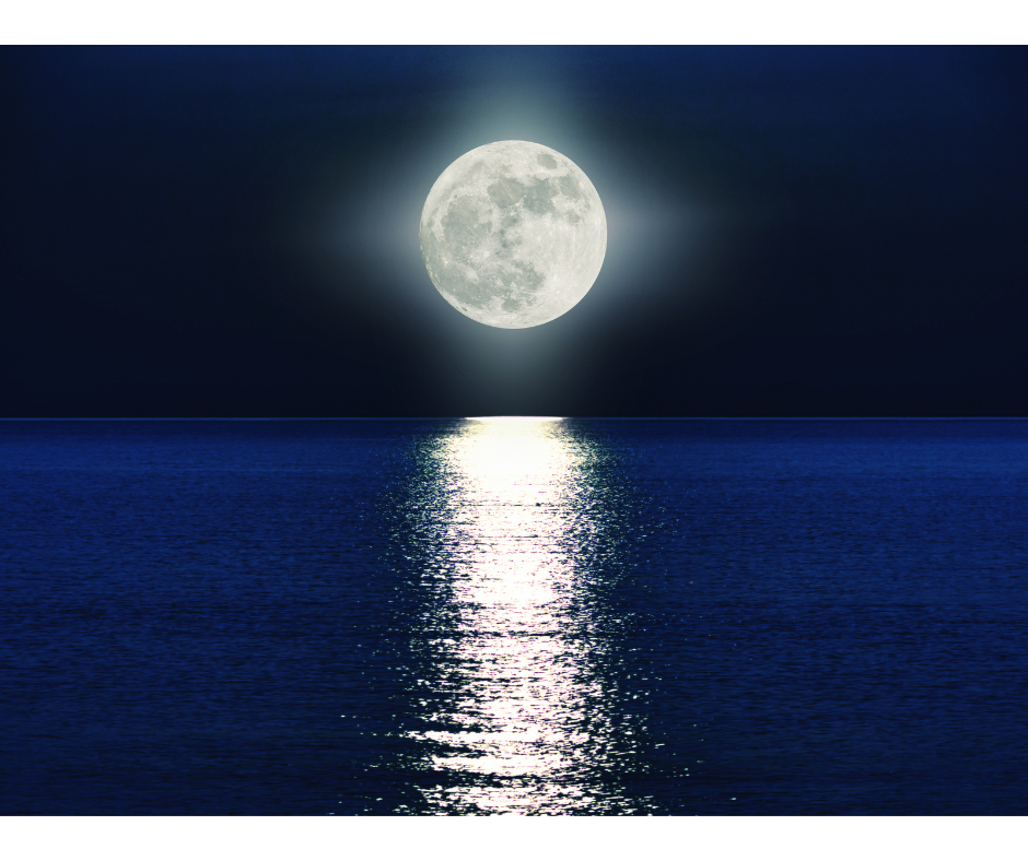 Indian Customs and Traditions