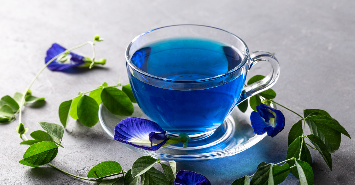 Caffeine Free Tea Butterfly Pea Flower