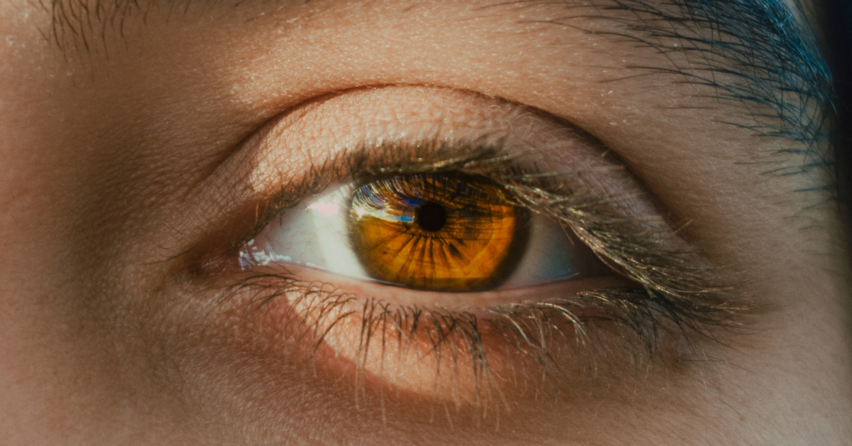 Benefits of Curry Leaf Powder