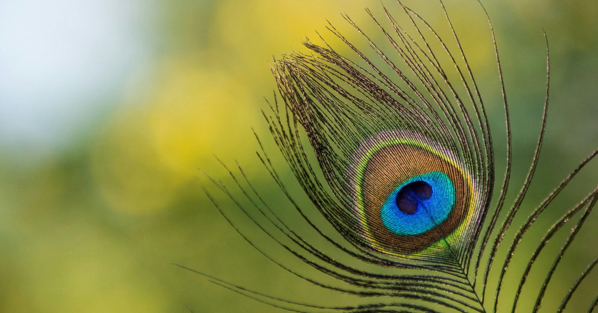 what to do on Akshaya Tritiya